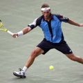 Tennis: Nalbandian dans le dernier carré à Bercy