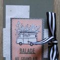 ATELIERS DU TELETHON #2 Mini-album "Balade au grand air" 