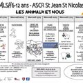 Programme ALSH Mars 2019