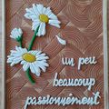 "UN PEU, BEAUCOUP, PASSIONNEMENT"...