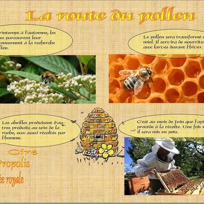 La route du pollen