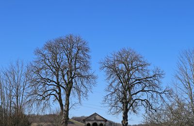 LES 2 MARRONNIERS DE LA CHAPELLE NOTRE DAME DE PITIE, A VINCEY, 88450. Dernière visite du 23 février 2022.