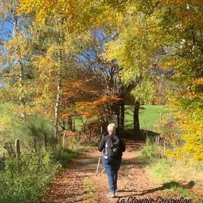 Un nouveau départ gourmand, tout en douceur