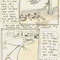 deux histoires d'oiseaux