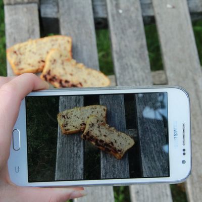 Gâteau au fromage blanc et pépites de chocolat