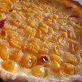 Tarte aux mirabelles (cueillies à la main!!)