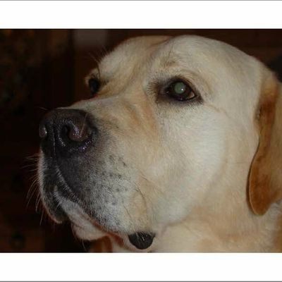 Notre héro familial est maintenant une étoile!