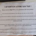 Choc des minorités: écolo dingos contre handicapés "crit'air 1"