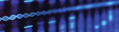 Transhumanisme et hybridation de la pensée humaine synthétique 