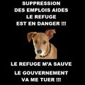 VOTRE ATTENTION !