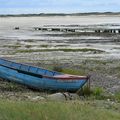 Randonnée de Port-Bail à Lindbergh-Plage (Manche) le 26 juillet 2016 (3)