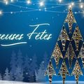 Belles fêtes de fin d'année à tous !