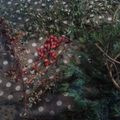 Bouquets de Noël