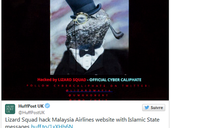 Qui est Lizard Squad, le groupe de hackers qui dit avoir piraté Facebook ?