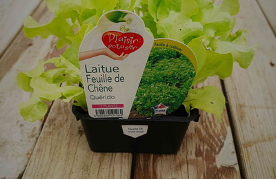 chez Ma' projet 52-2022 semaine 14 : printemps