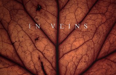 Nouveau single d'A Tergo Lupi : In Veins