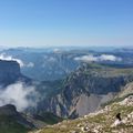 Foins coupés...la saison d'été peut commencer