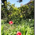 Au printemps
