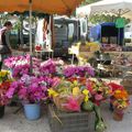 couleurs de marché provençal