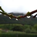 Autre saison, autre temps... Enfin la pluie!