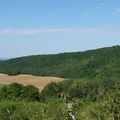 Dans la forêt communale ....