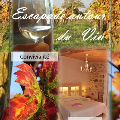 Escapade autour du vin !