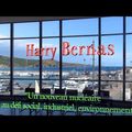vidéo de la conférence du 12 juin: Harry BERNAS "Nouveau nucléaire” ? Quels enjeux climatiques, sociaux, industriels ?