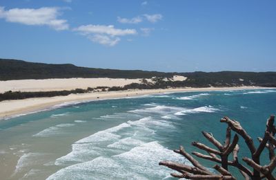 Fraser Island, ou un bout de paradis !