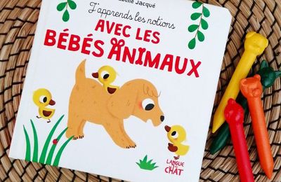 J'apprends les notions avec les bébés animaux - Tout-carton éveil, premières notions - Dès 2 ans