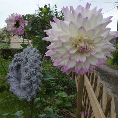 bonnets pour l'hiver