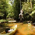 Guyane- Immersion jungle