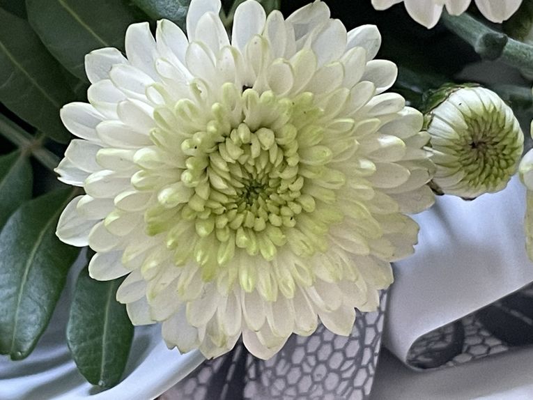 Lundi 27 octobre 2025 Ma gentille voisine m'a offert un beau bouquet dernièrement ,&quot;Un petit bouquet pour prolonger la beauté du geste. Belle semaine à vous qui passez par ici ! mon diapo s'en suit 