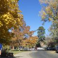 Flagstaff- Fall and houses