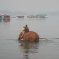 Le Ganesha Park (avant - pendant )