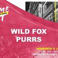 Wild Fox en Soirée Take Me Out (Supersonic) - Vendredi 9 Juillet 2021 - Terrasse du Trabendo