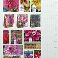 2013, une année pour de magnifiques jardins !
