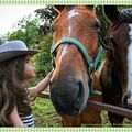 Promenade dans la belle région de Iron Hill et chevaux coquins - Walk in the beautiful Iron Hill area and rascally horses