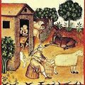 Le Mamonia : recette au safran datant du Moyen Age