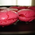 "Macarons - 1er Essai"