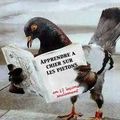 Apprendre à chier sur les piétons en 12 leçons seulement (Stella No.)