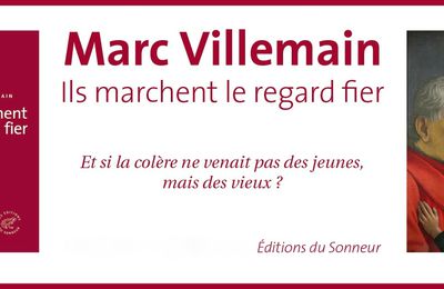 Ils marchent le regard fier : critique de Vincent Monadé