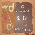 Album " Dimanche à la campagne"