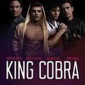 James Franco dans l'univers du porno gay avec « King Cobra »