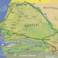 Sénégal du 5 janvier au 6 février 2011