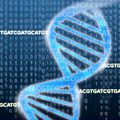 Données ADN centralisé par Microsoft