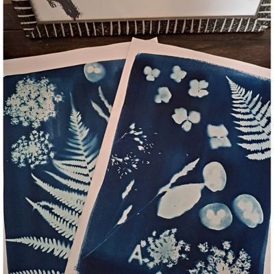 Fleurs bleues