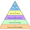 Module 1: la pyramide de Maslow