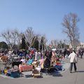 hier au vide-grenouilles de Vaison...