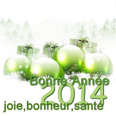 Bonne année 2014 !!!