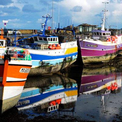 Sur le port de Roscoff